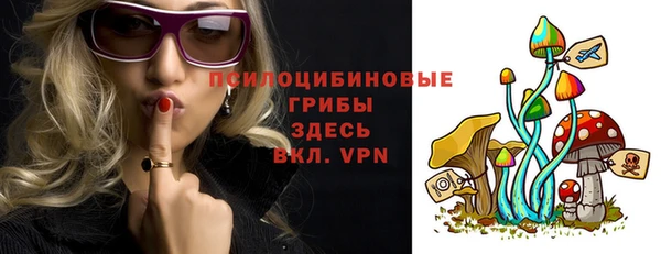 ГАЛЛЮЦИНОГЕННЫЕ ГРИБЫ Алексеевка