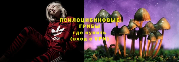 дживик Абаза