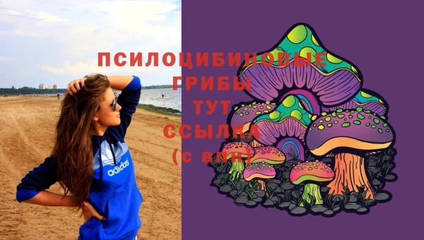 ГАЛЛЮЦИНОГЕННЫЕ ГРИБЫ Алексеевка