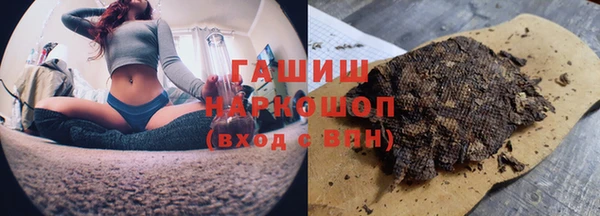 крисы Алзамай