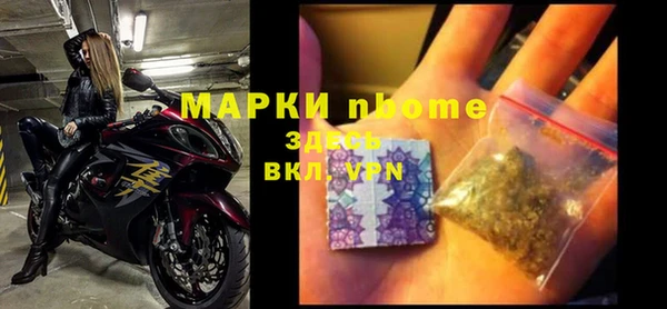 крисы Алзамай