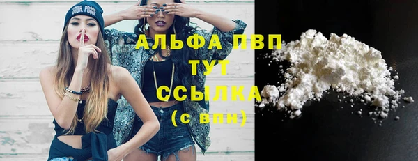 дживик Абаза