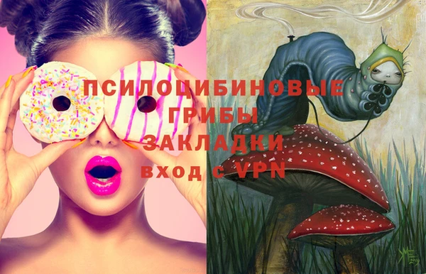 ГАЛЛЮЦИНОГЕННЫЕ ГРИБЫ Алексеевка